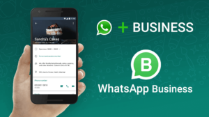 Cara Sukses Hanya Menggunakan WhatsApp untuk Bisnis Online